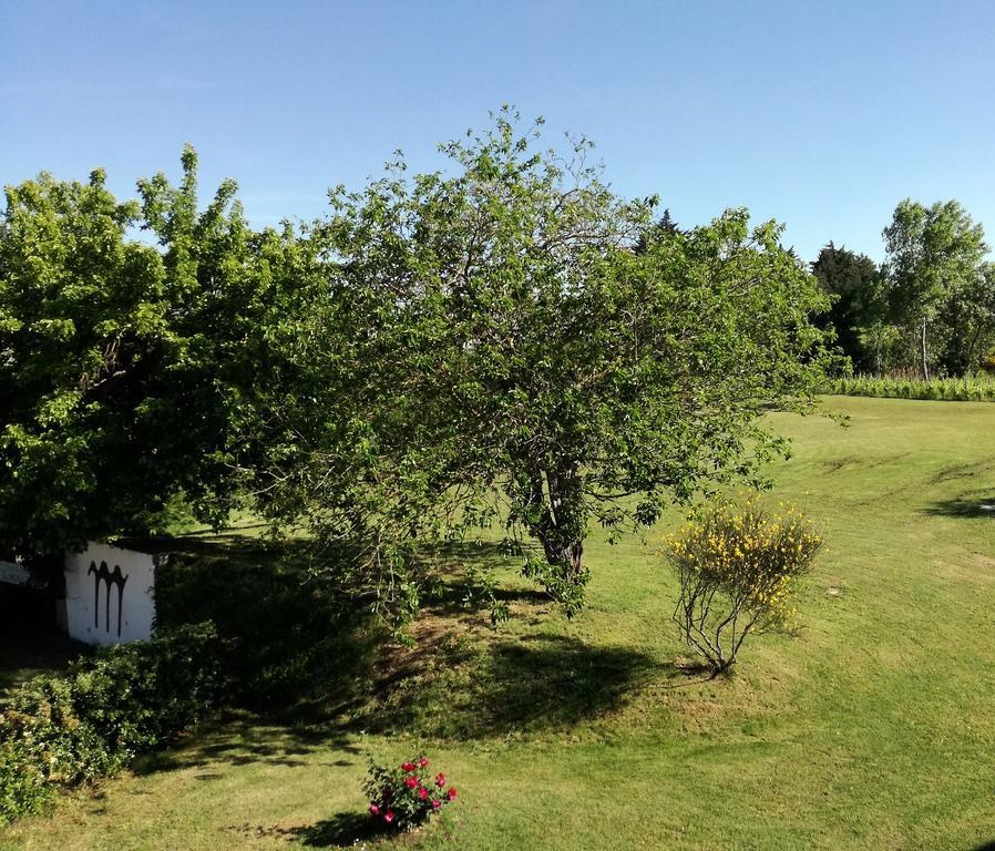 Agriturismo Morattina Castrocaro Terme Exterior foto